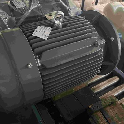 Cast Aluminum Frequency Conversion High Efficiency Electric Motor