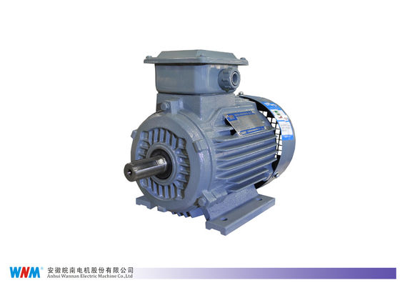 0.25kw To 350kw Three Phase Induction AC Electrical Low Voltage Motor