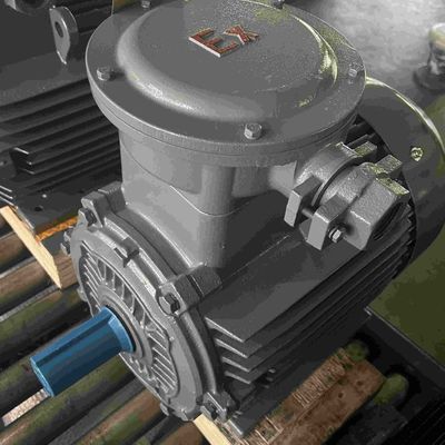 RoHS Low Voltage Electric Motors IE3 Single Phase For Vapor Area