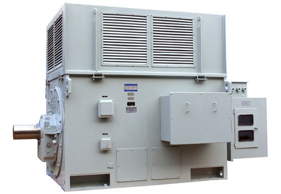 Medium And High Voltage Induction Motors 6KV Waterproof