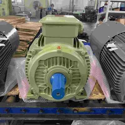 30KW IE3 High Efficiency Electric Motors For Printing Machinery