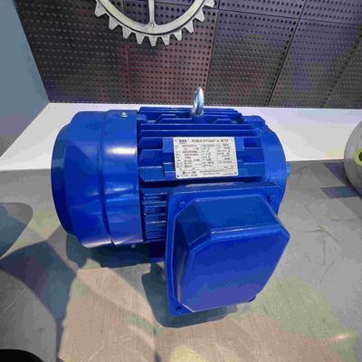 YE3 Model Carbon Steel High Efficient Electric Motors For Pumps