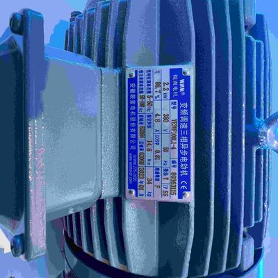 Carbon Steel Medium Voltage Induction Motor Three Phase