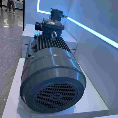 Carbon Steel Medium Voltage Induction Motor Three Phase